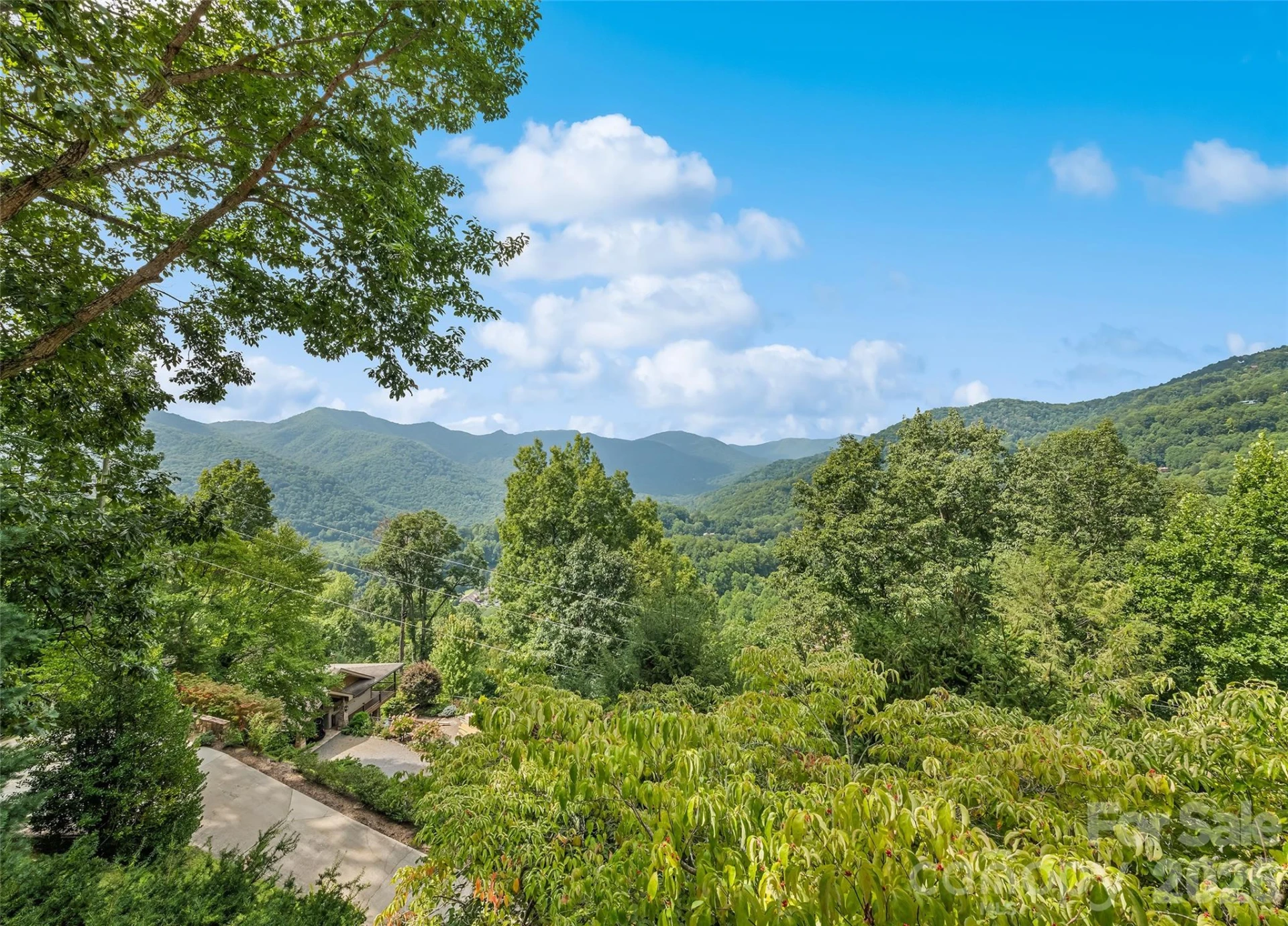 509 Deer Creek Trail - Photo 8