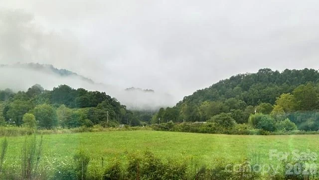 31 Clear Creek Lane - Photo 8