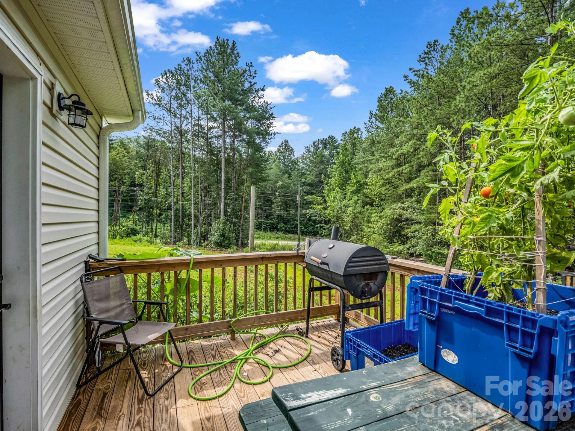 47 Heartleaf Lane - Photo 23