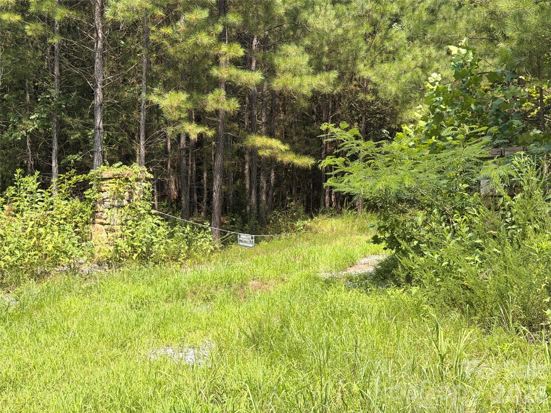 000 Thompson Lake Road - Photo 2