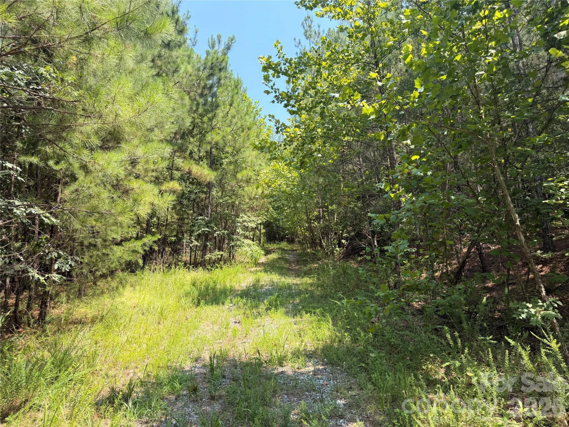 000 Thompson Lake Road - Photo 6