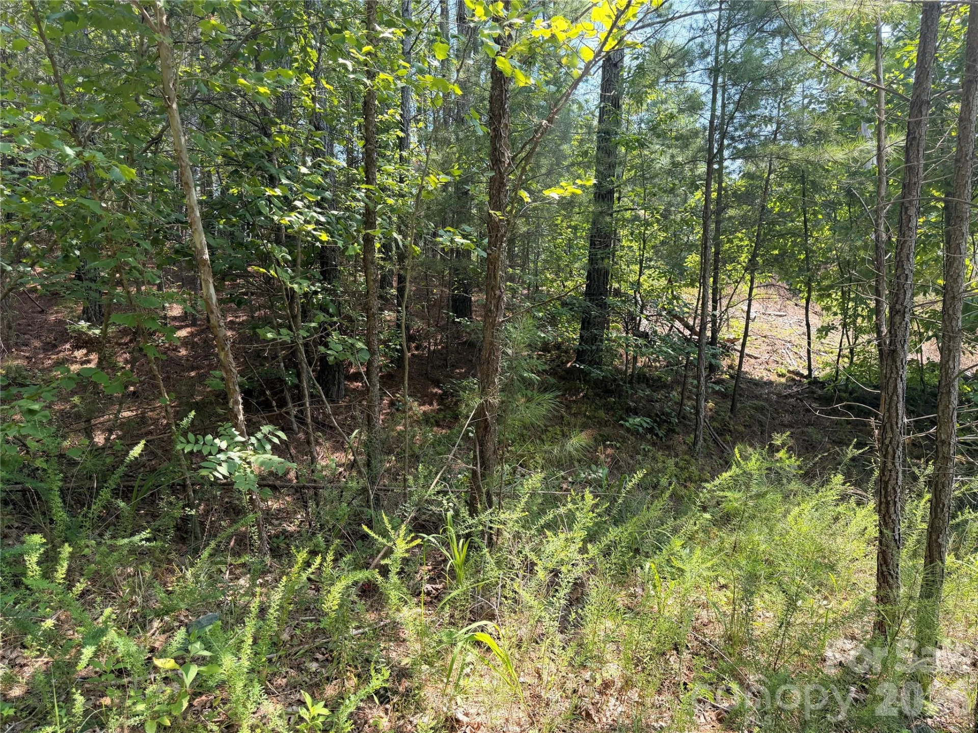 000 Thompson Lake Road - Photo 8