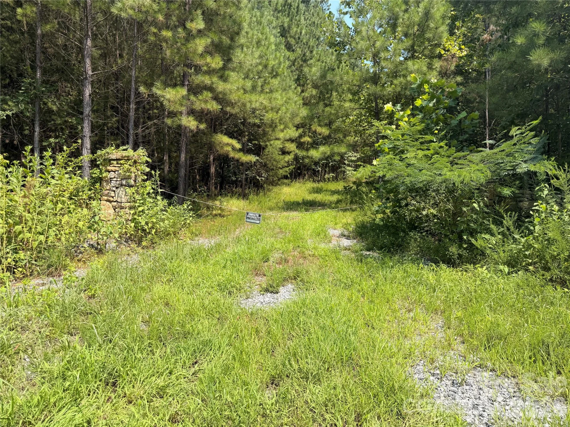 000 Thompson Lake Road - Photo 10