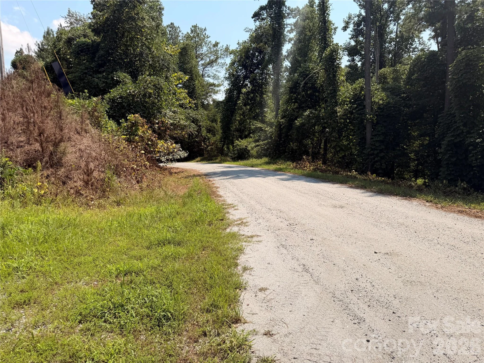 000 Thompson Lake Road - Photo 11