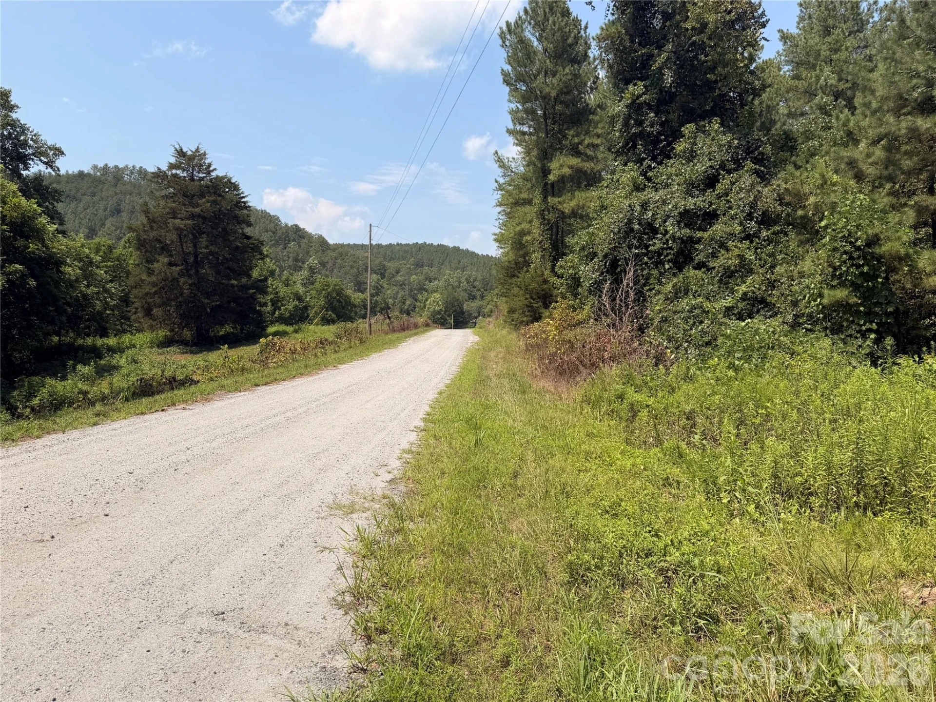 000 Thompson Lake Road - Photo 12