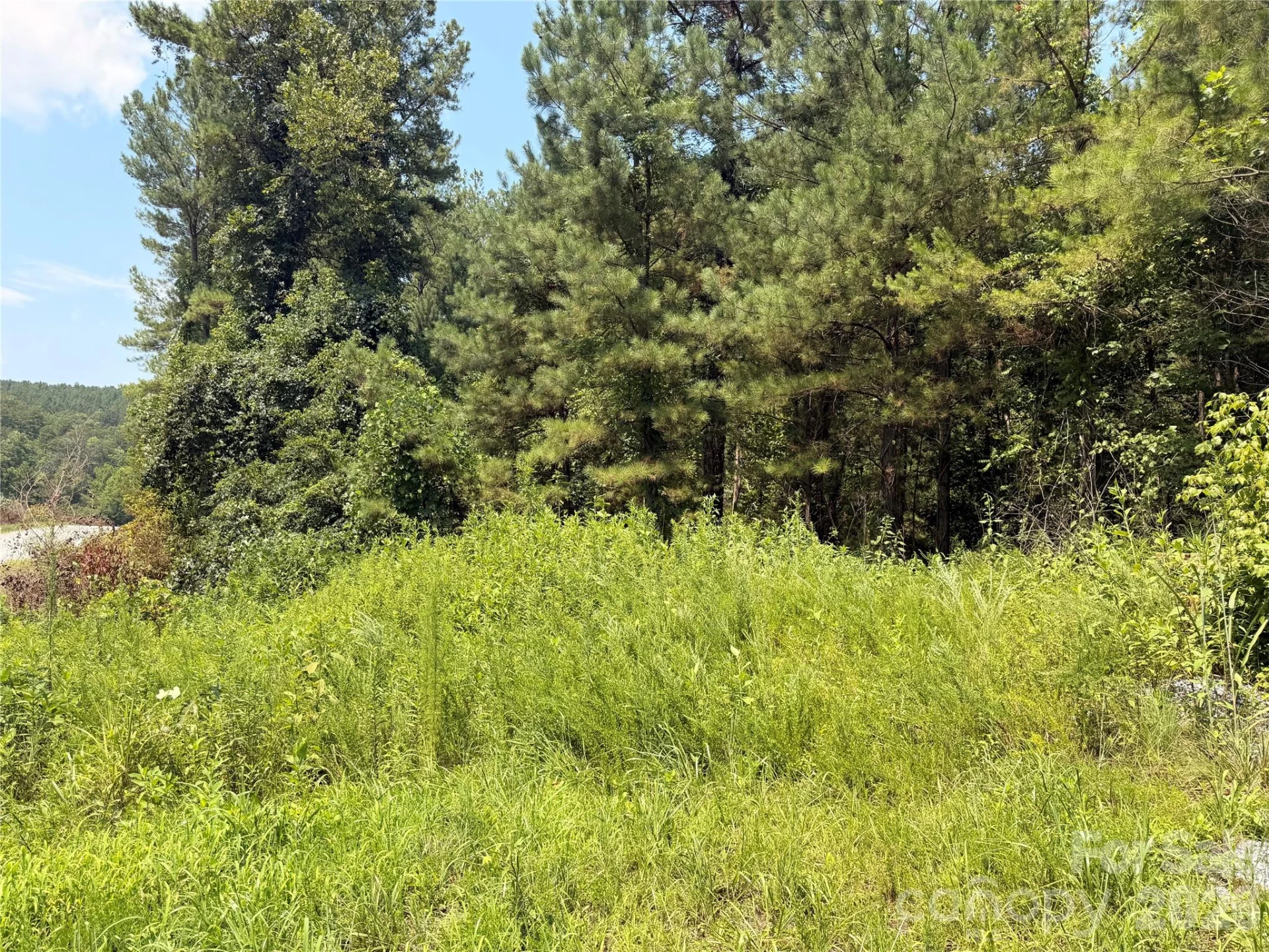 000 Thompson Lake Road - Photo 13