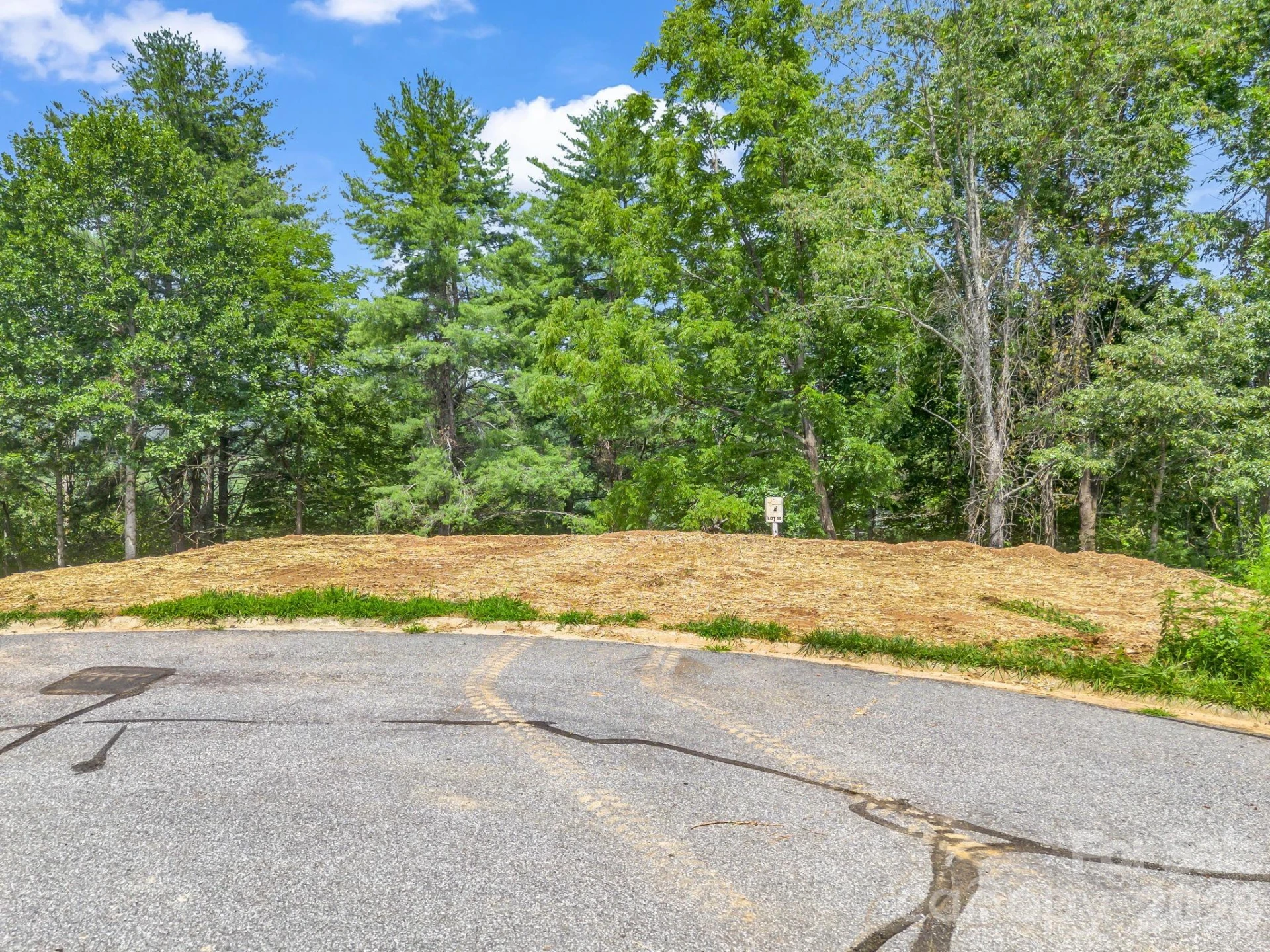 50 Erin Glen Court - Photo 5
