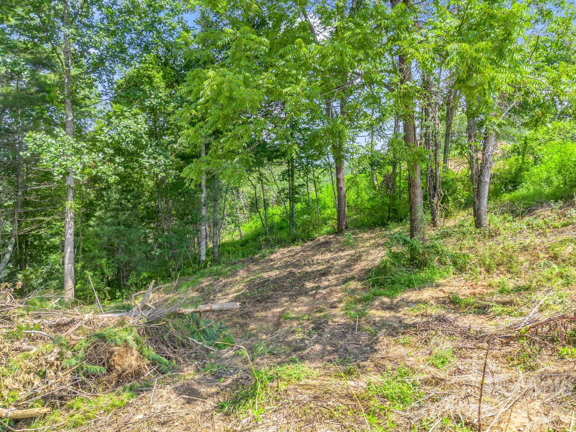 50 Erin Glen Court - Photo 8