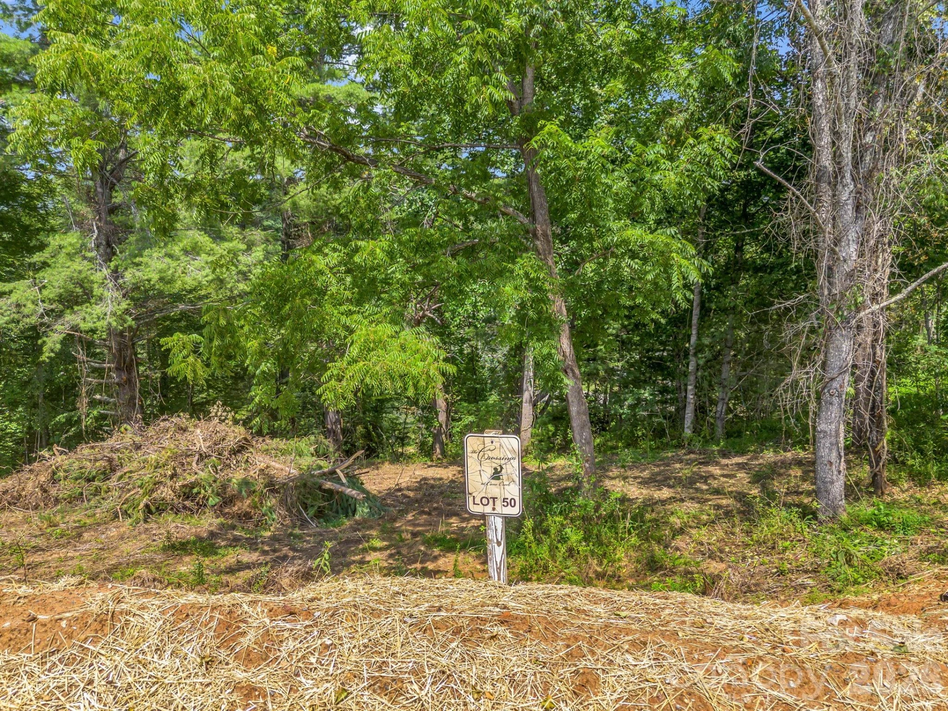 50 Erin Glen Court - Photo 10