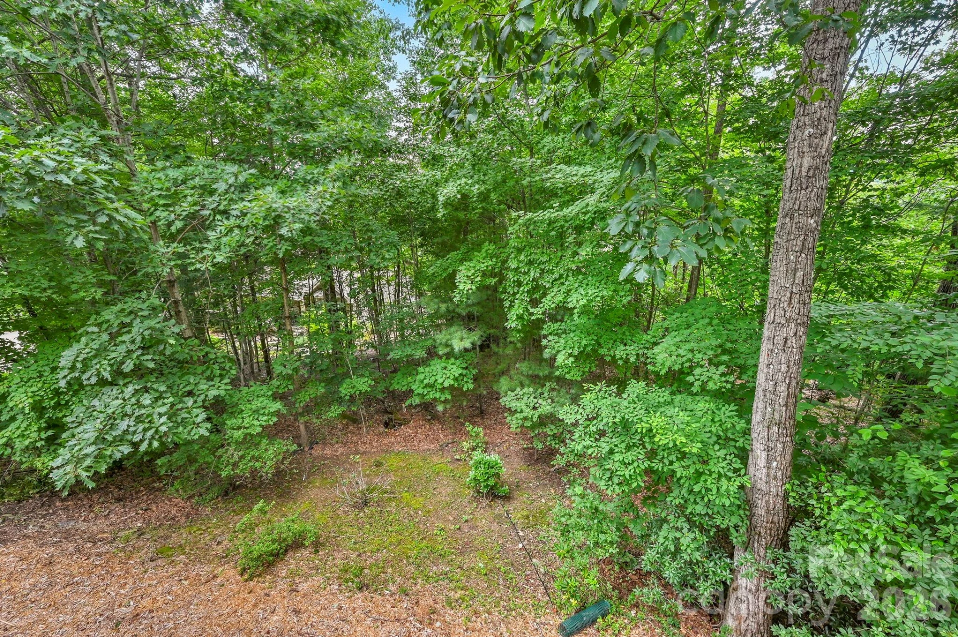 230 Carriage Summitt Way #2423 - Photo 41