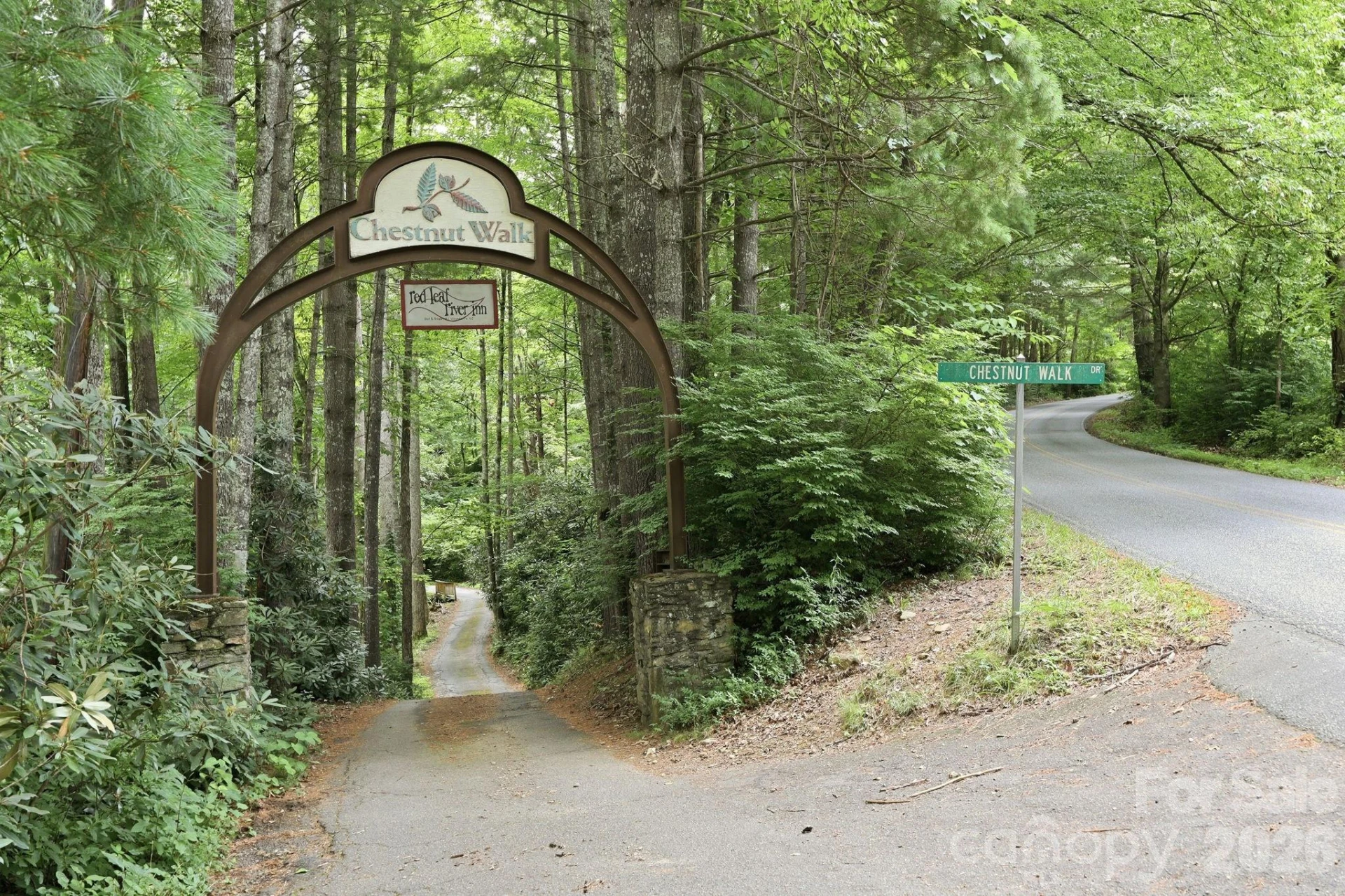 146 Chestnut Walk Drive - Photo 45