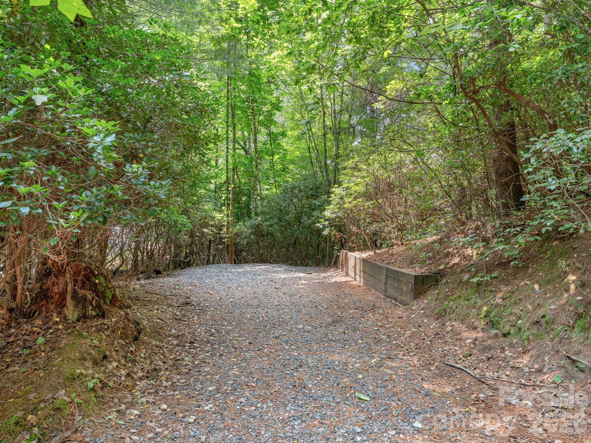 620 Thunder Road - Photo 41