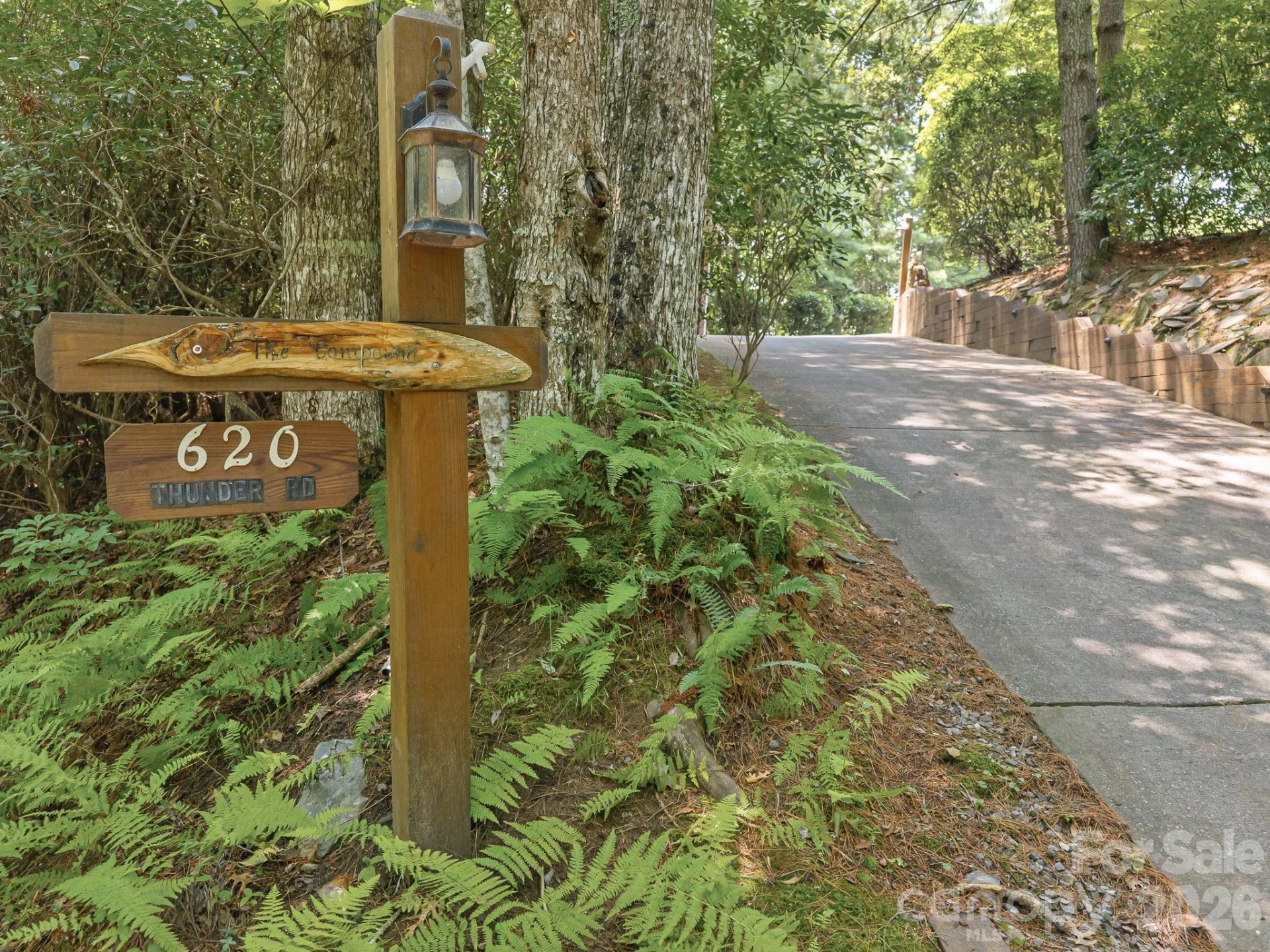 620 Thunder Road - Photo 42