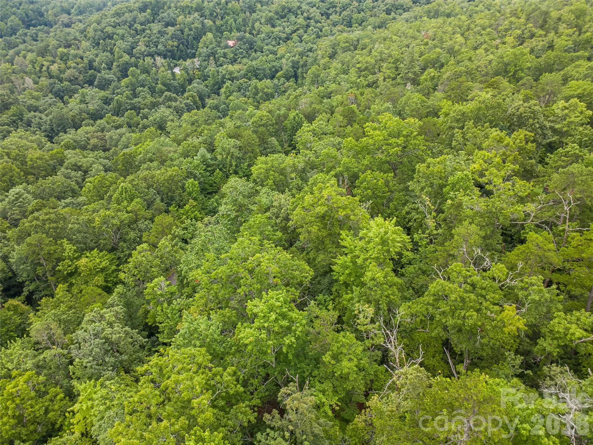 45 lobdell Road #45 - Photo 6