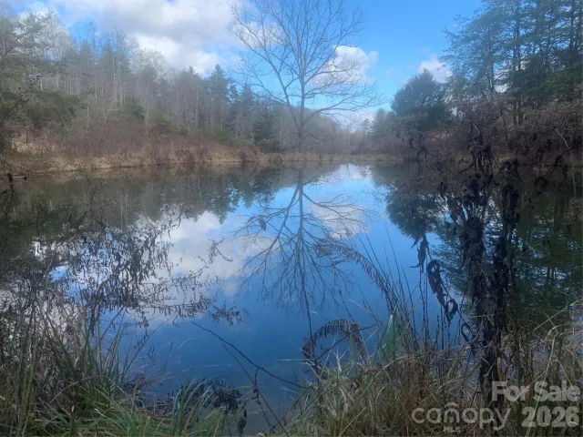 99999 Rocking Chair Lane, Leicester, NC, 28748