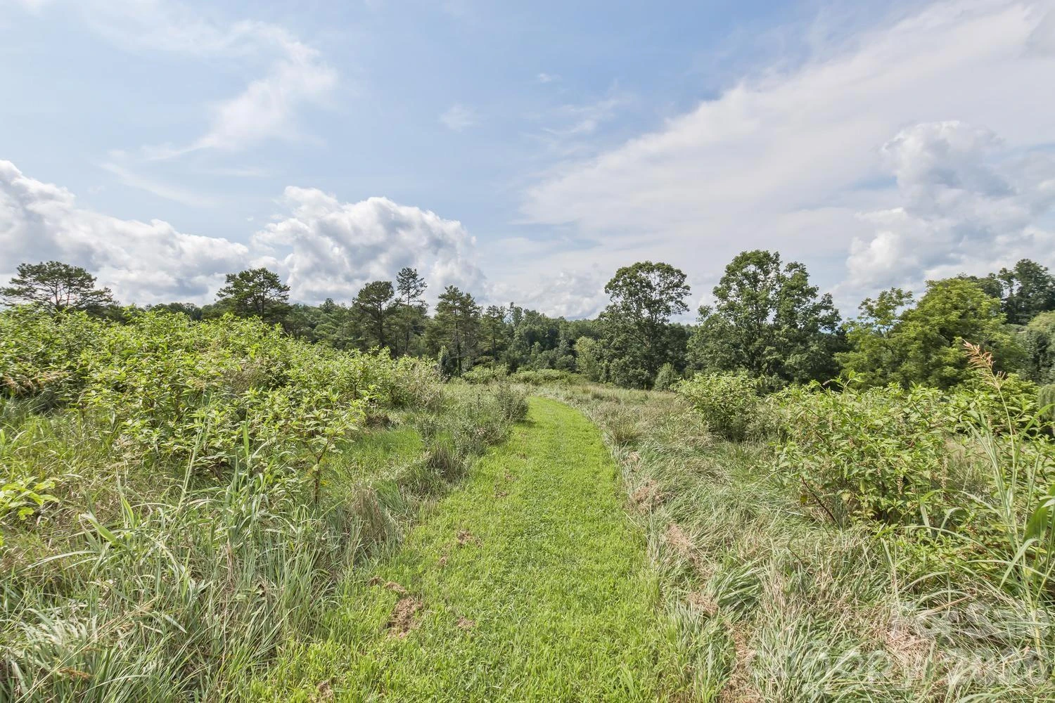 99999 Rocking Chair Lane - Photo 10