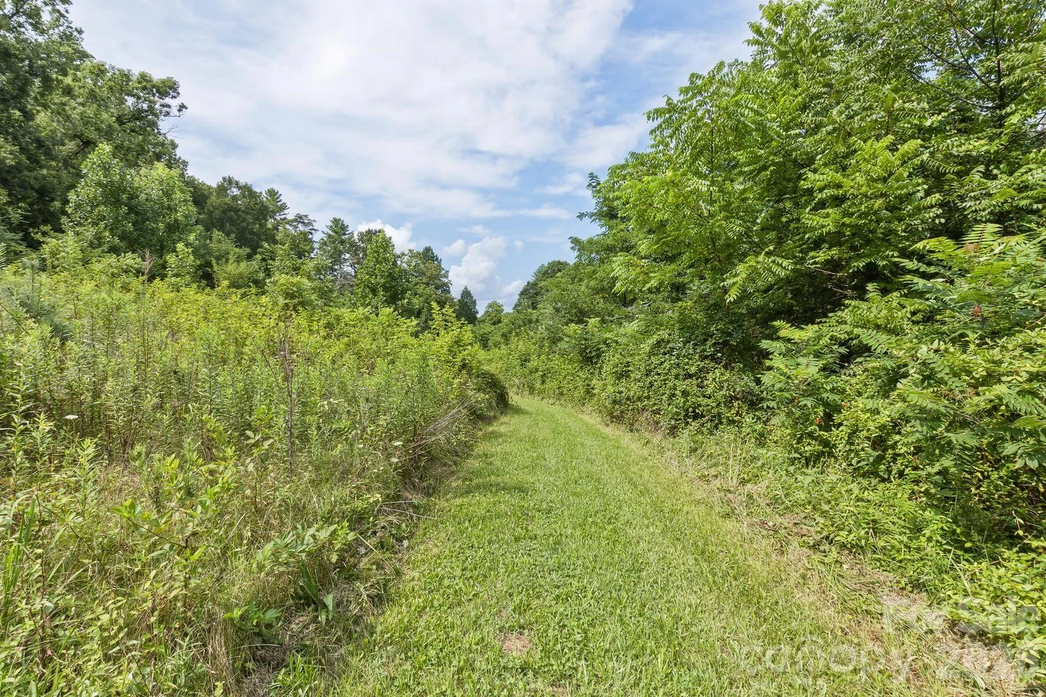 99999 Rocking Chair Lane - Photo 14