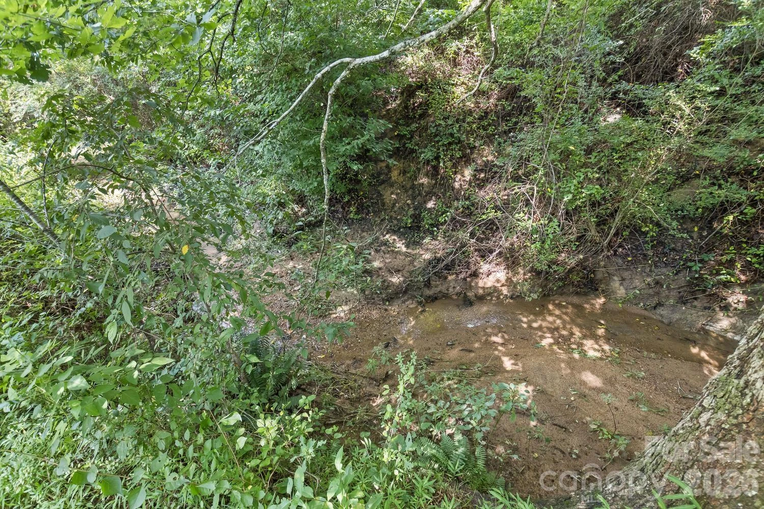 99999 Rocking Chair Lane - Photo 15