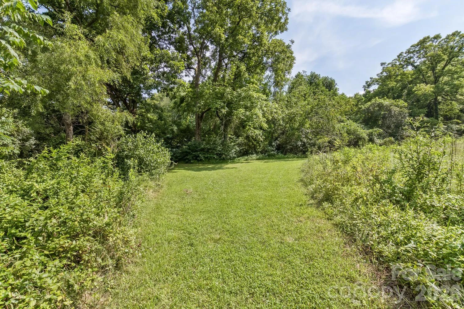 99999 Rocking Chair Lane - Photo 18