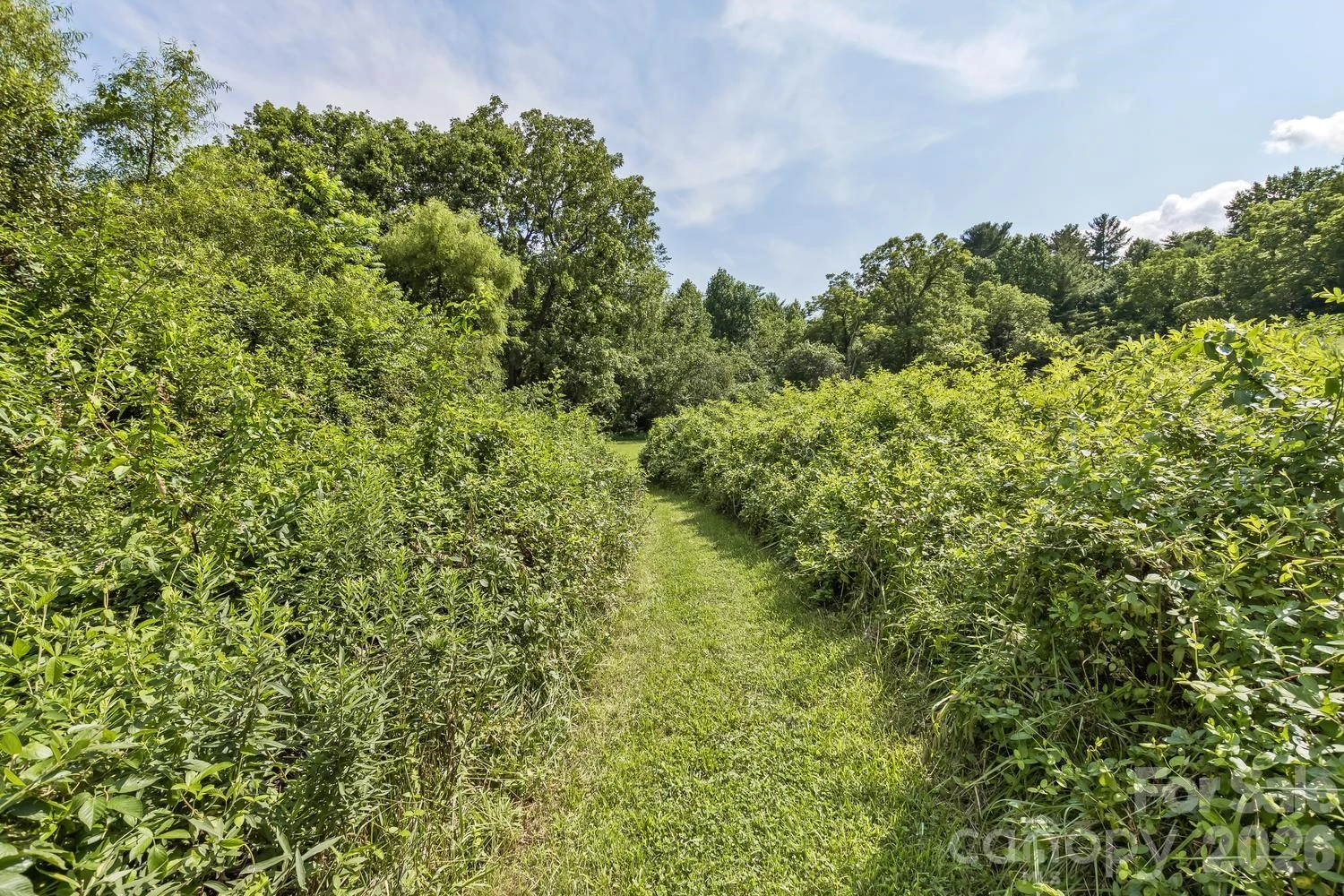 99999 Rocking Chair Lane - Photo 19