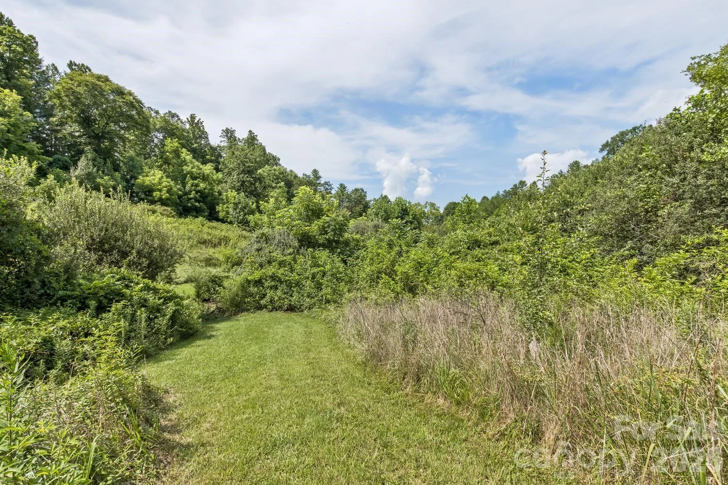 99999 Rocking Chair Lane - Photo 20