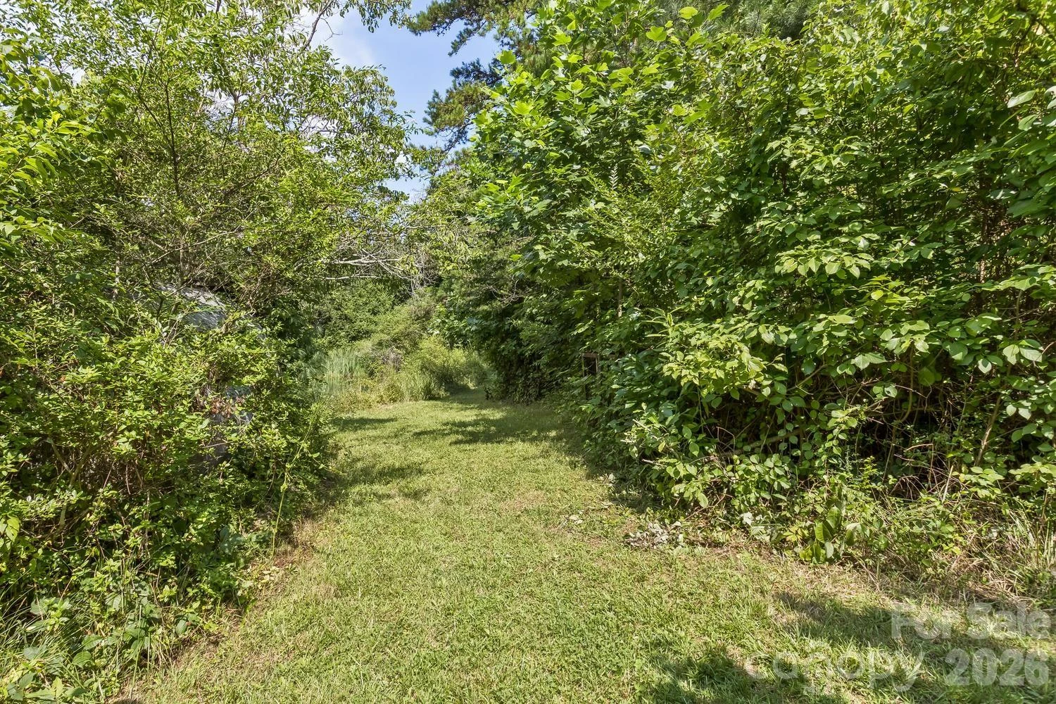 99999 Rocking Chair Lane - Photo 22