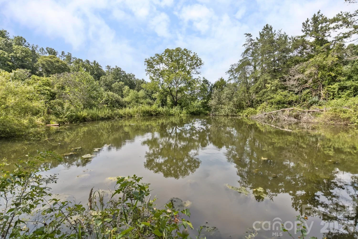 99999 Rocking Chair Lane - Photo 23