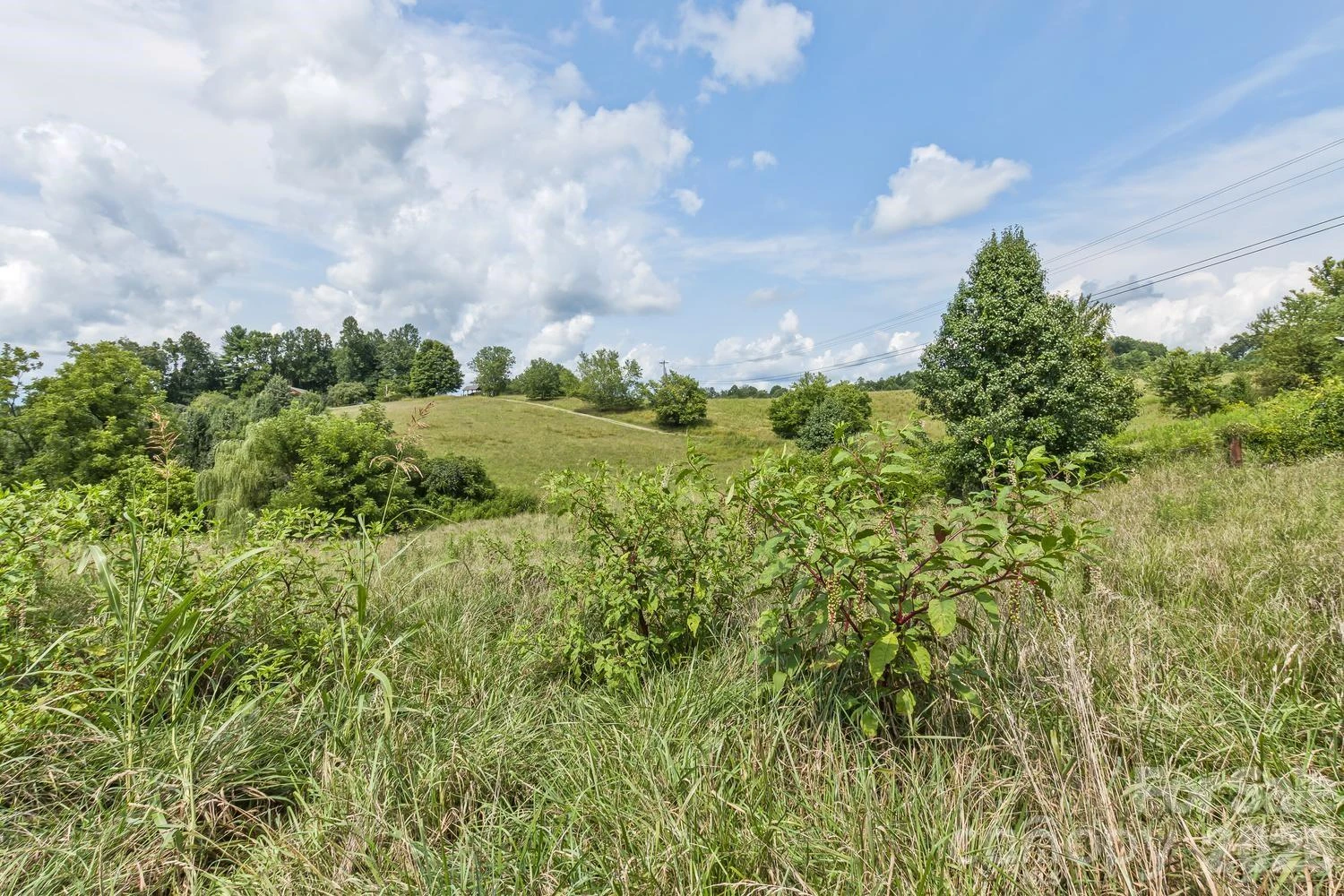99999 Rocking Chair Lane - Photo 27