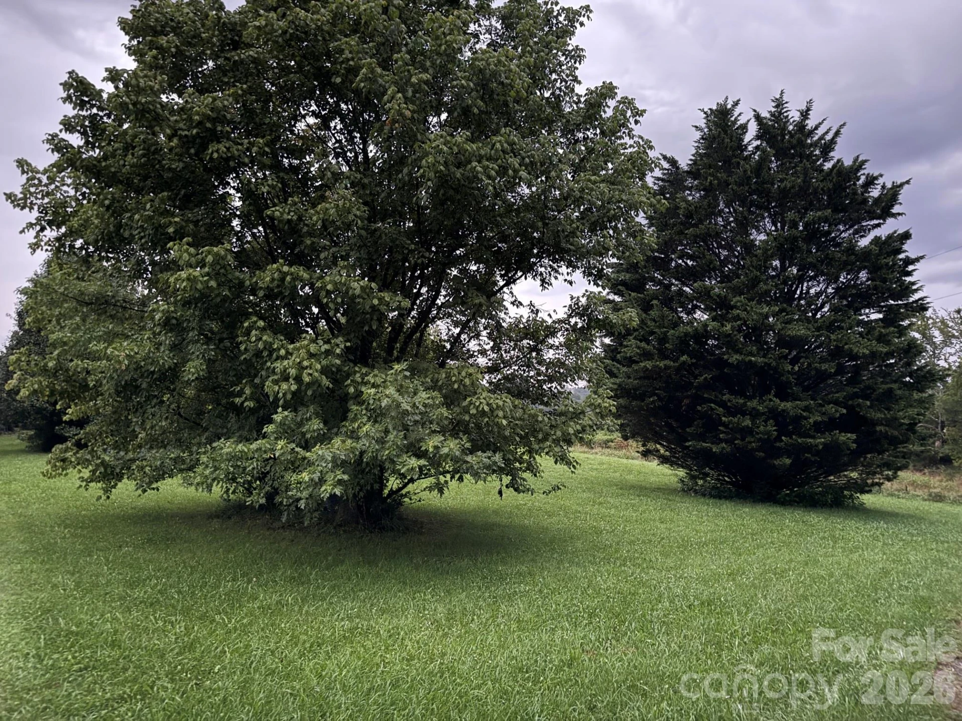 99999 Rocking Chair Lane - Photo 32