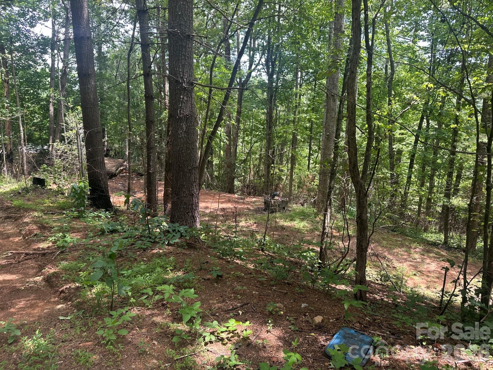 210/240 Gobbler Circle #19/21 - Photo 2