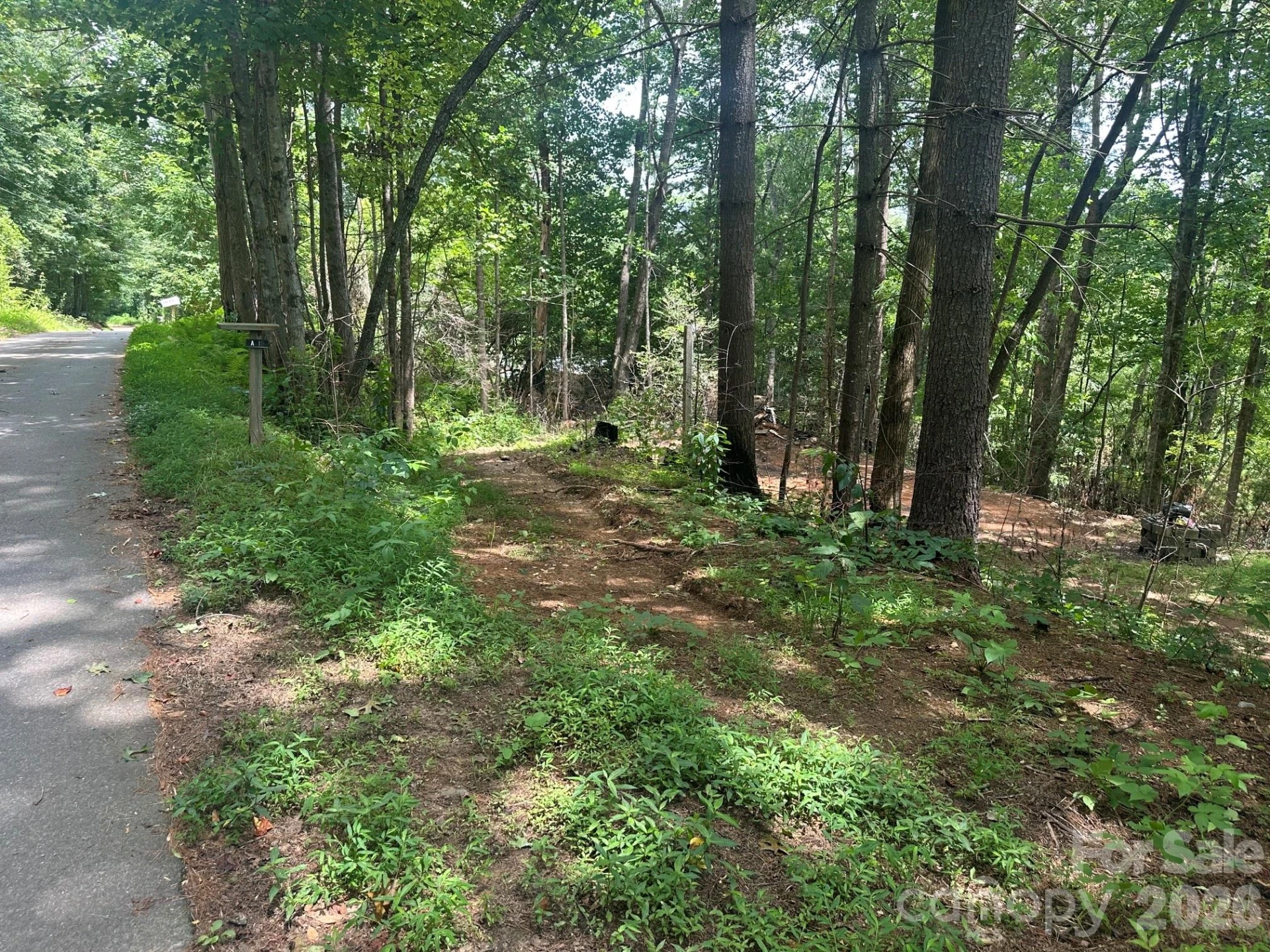 210/240 Gobbler Circle #19/21 - Photo 3