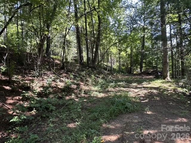 210/240 Gobbler Circle #19/21 - Photo 5
