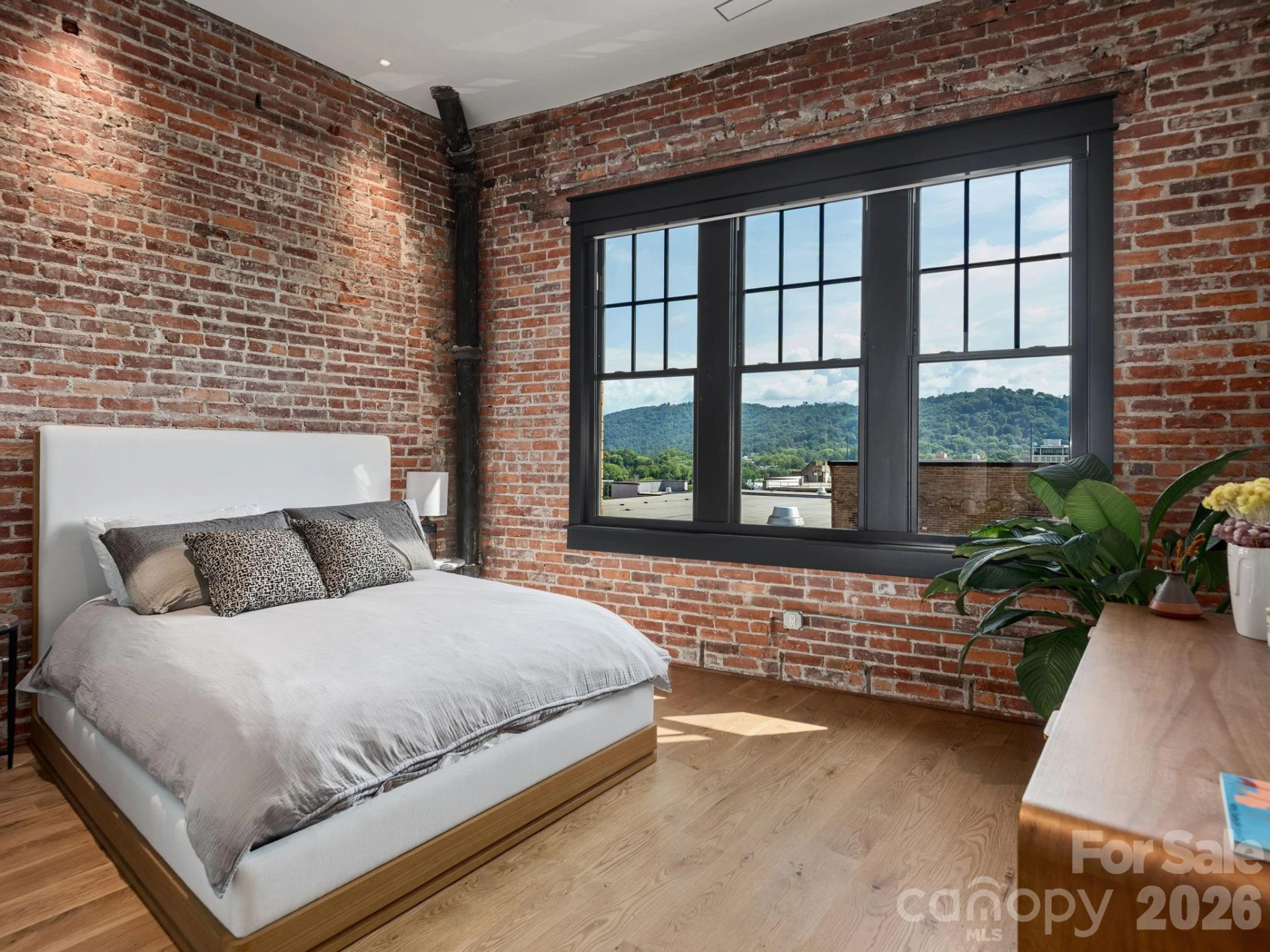 60 Haywood Street #4A - Photo 13