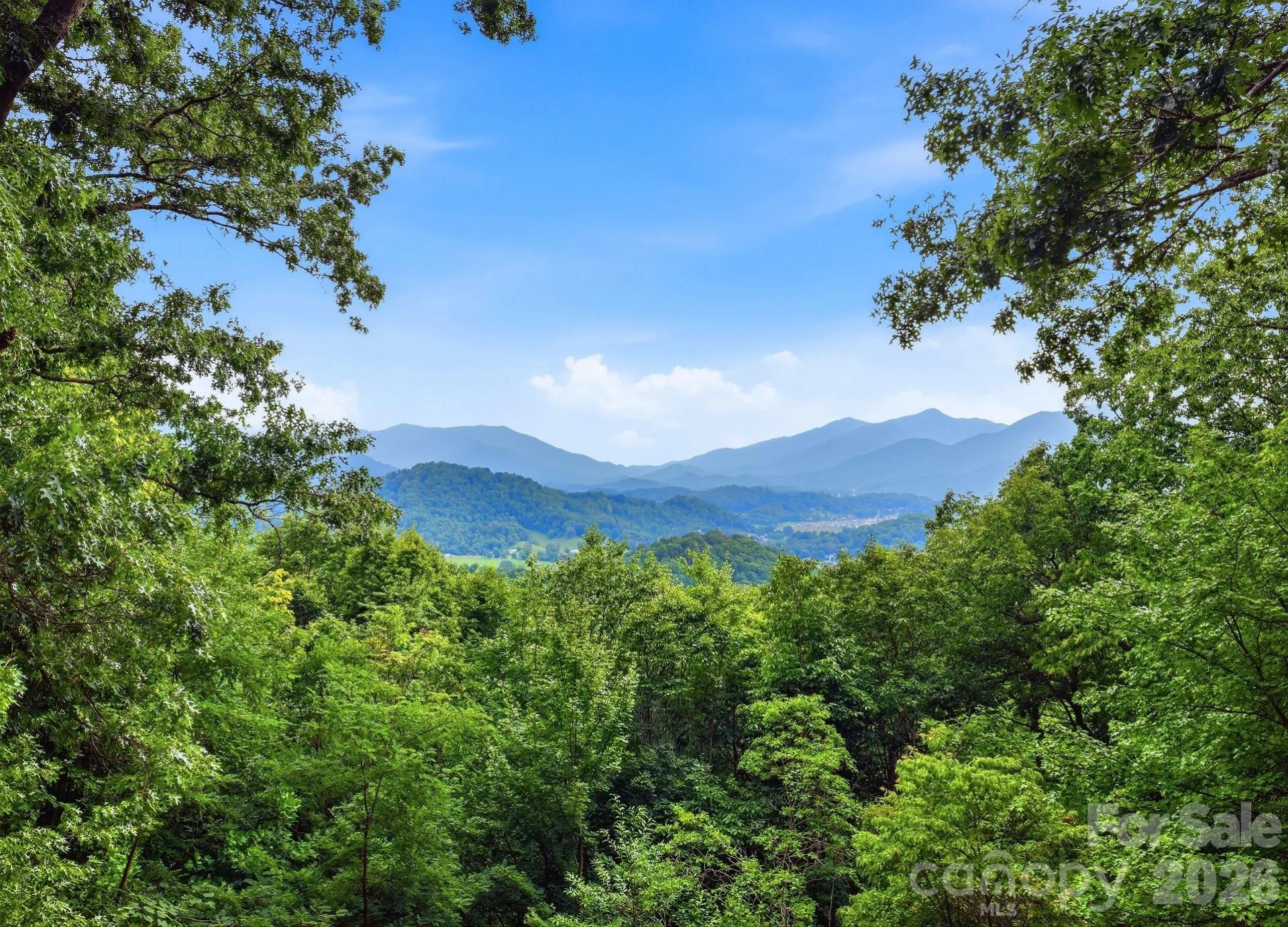 900 Mountain Cove Road - Photo 2