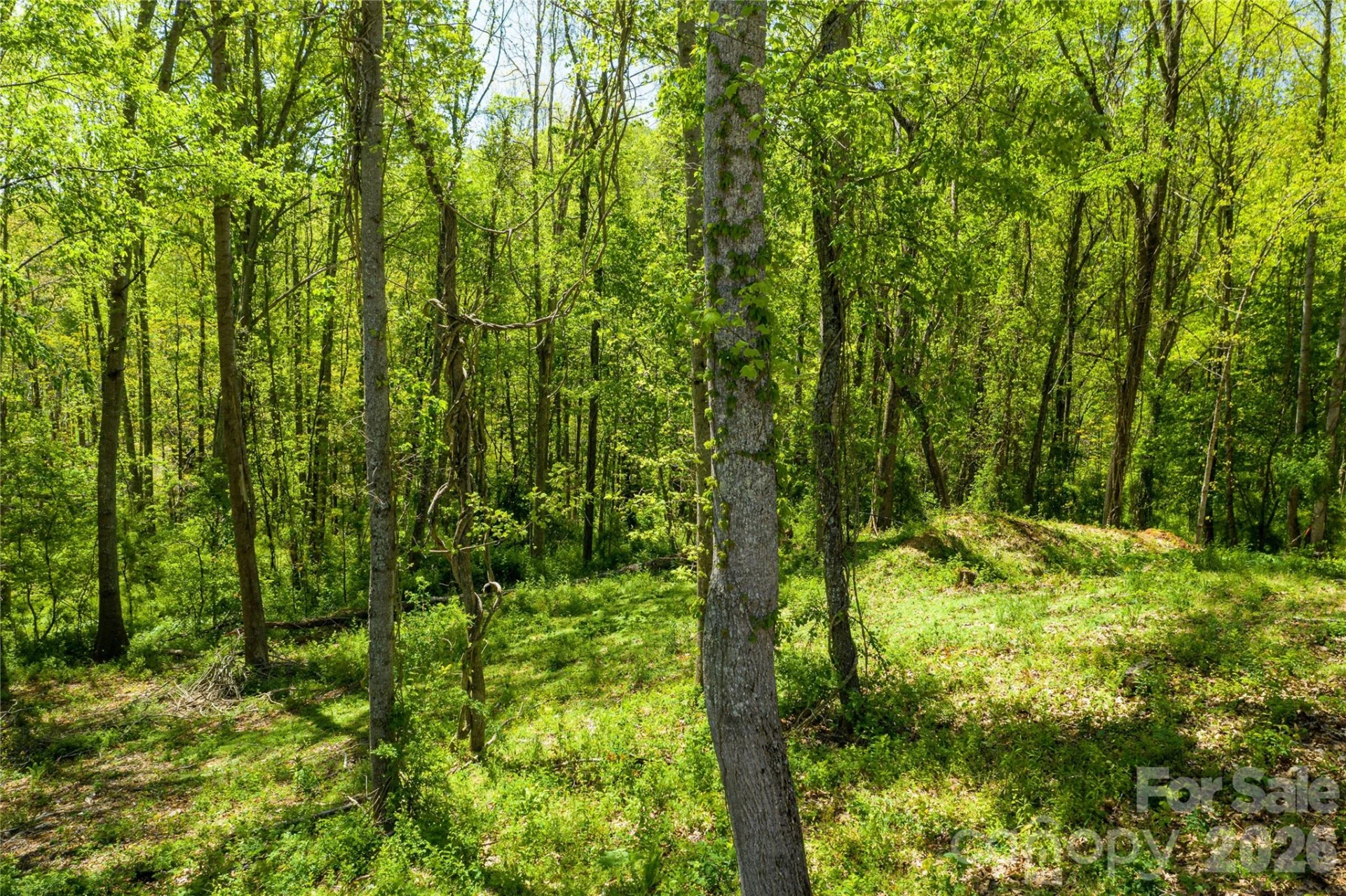 9999 Bee Balm Way #55 - Photo 2
