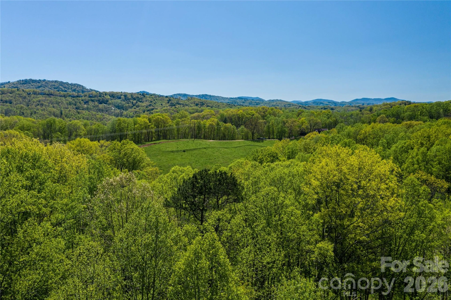 9999 Bee Balm Way #55 - Photo 3