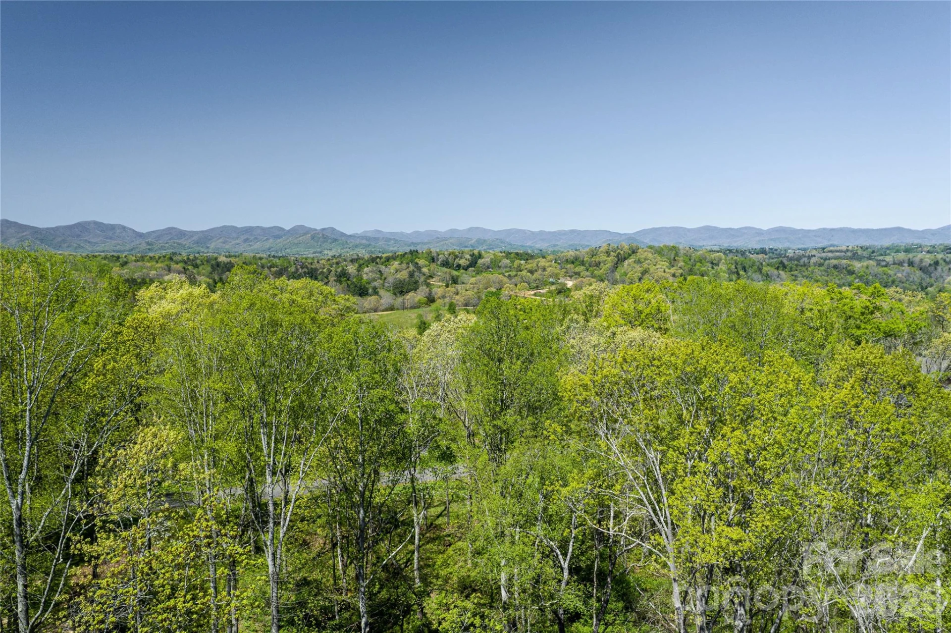 9999 Bee Balm Way #55 - Photo 4