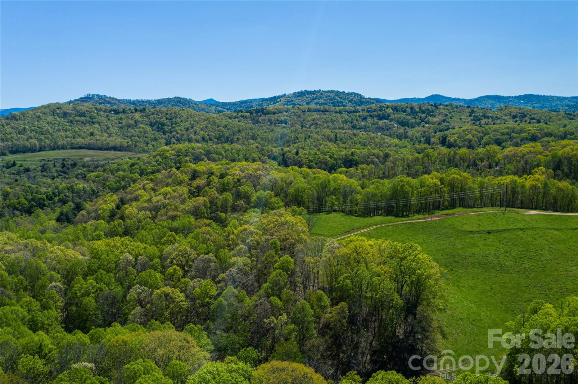 9999 Bee Balm Way #55 - Photo 5