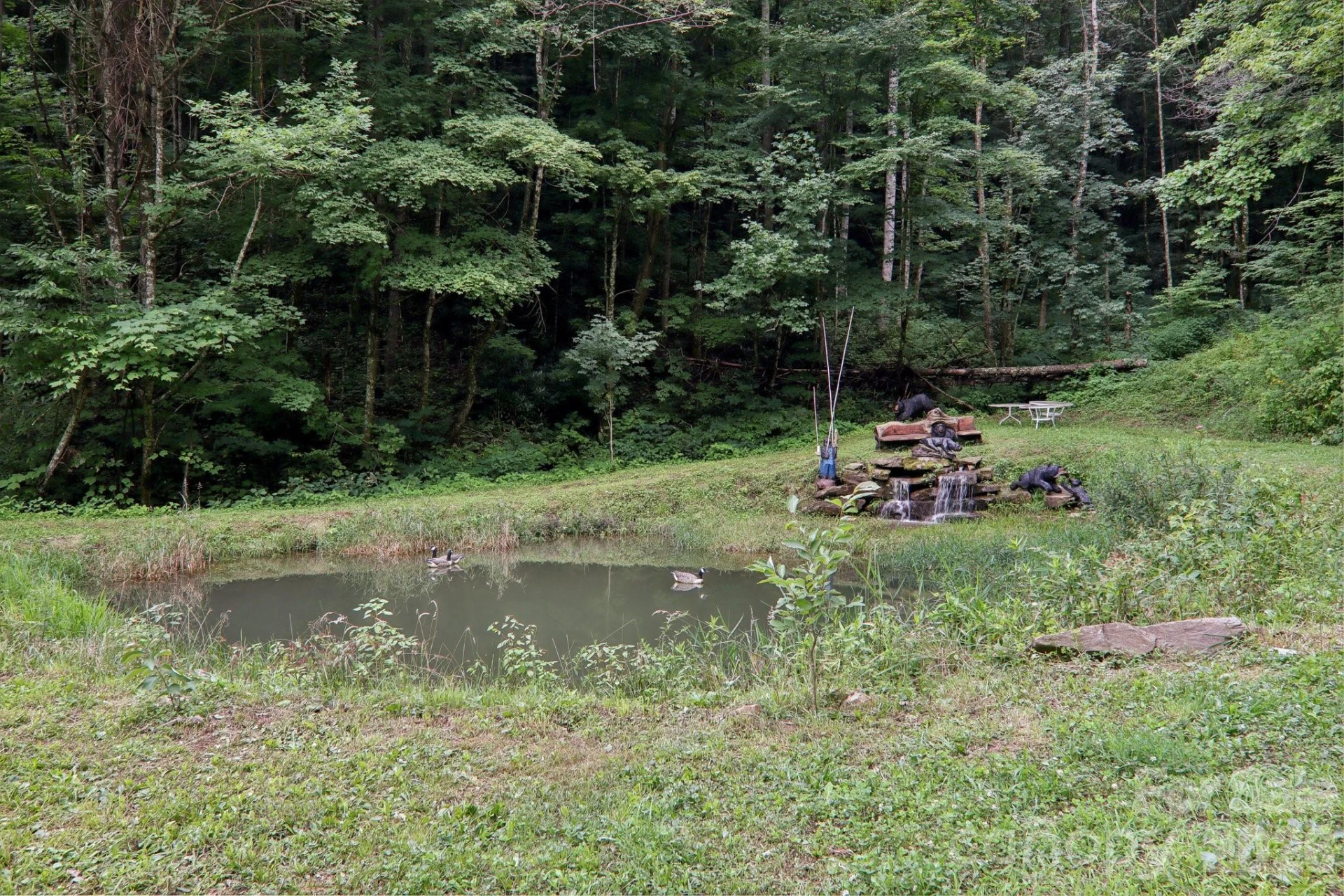 4501 Cove Creek Road - Photo 5
