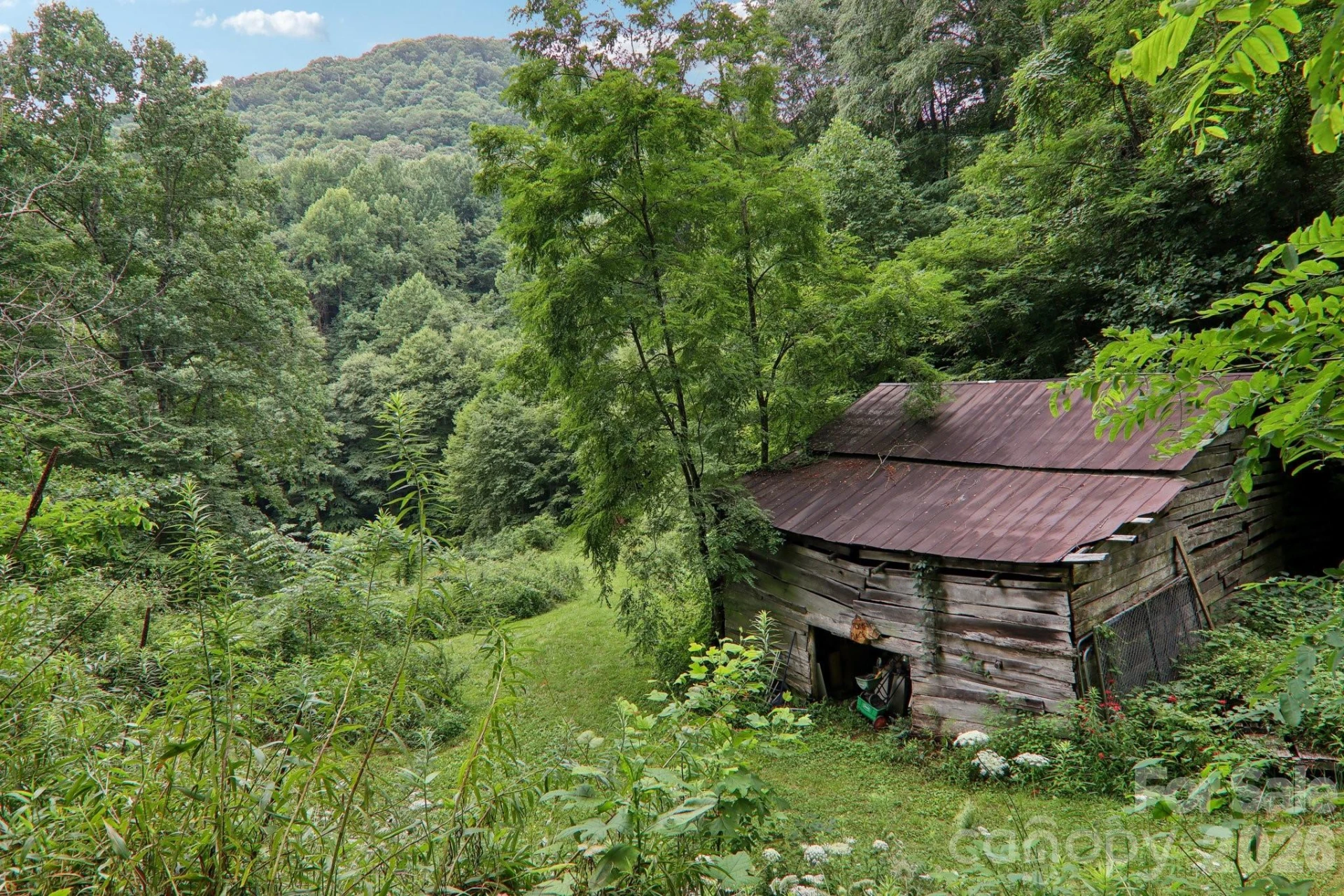 4501 Cove Creek Road - Photo 34