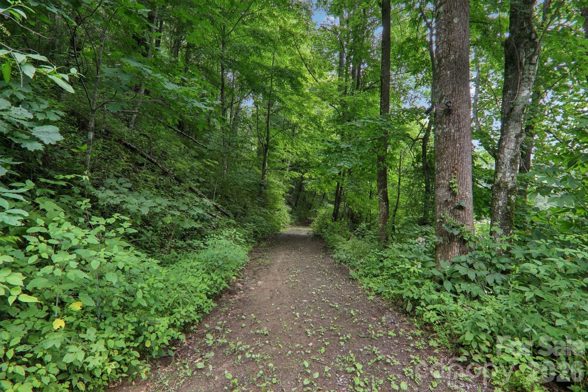 4501 Cove Creek Road - Photo 35