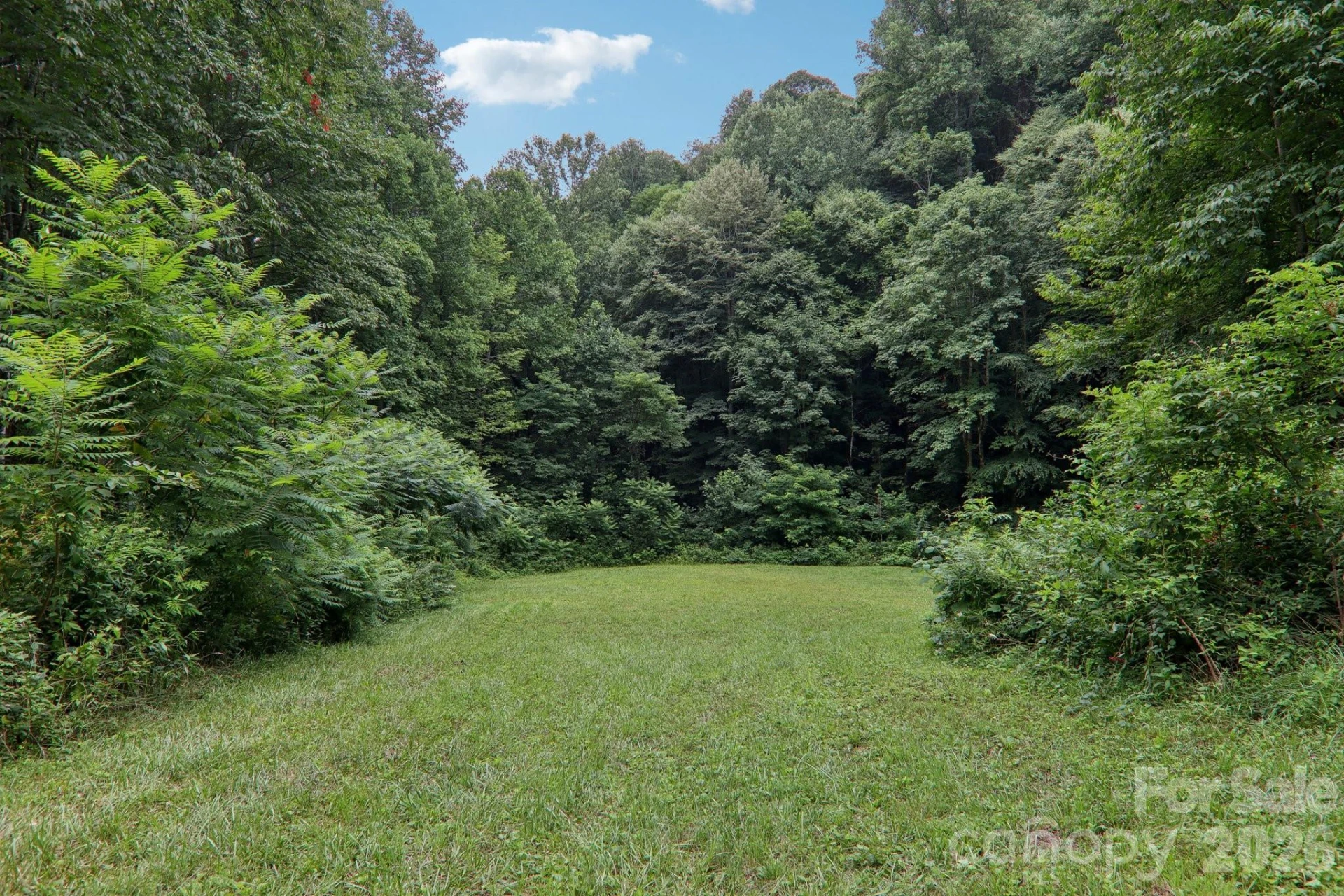 4501 Cove Creek Road - Photo 36