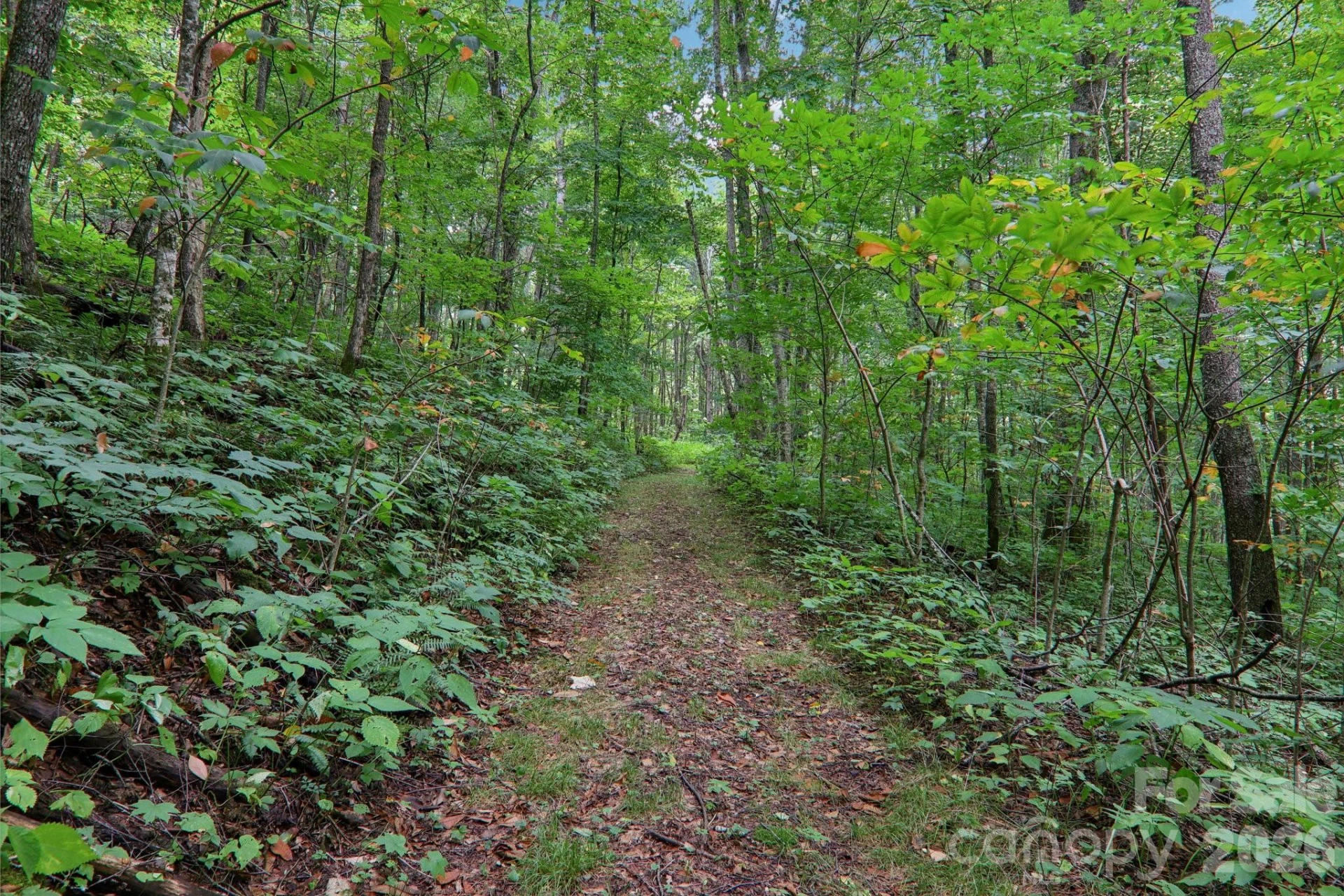 4501 Cove Creek Road - Photo 37