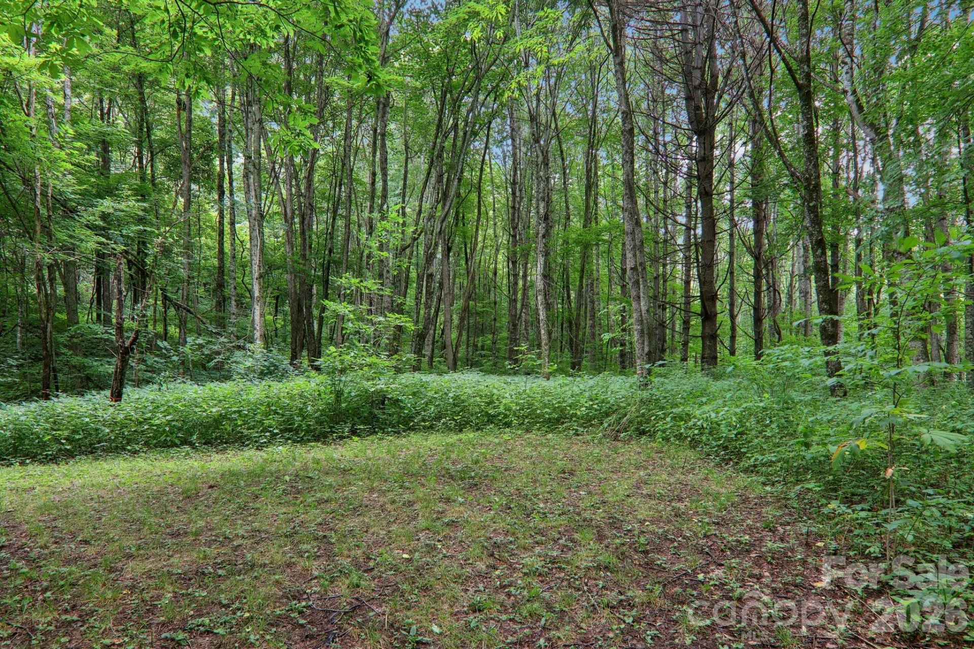 4501 Cove Creek Road - Photo 38
