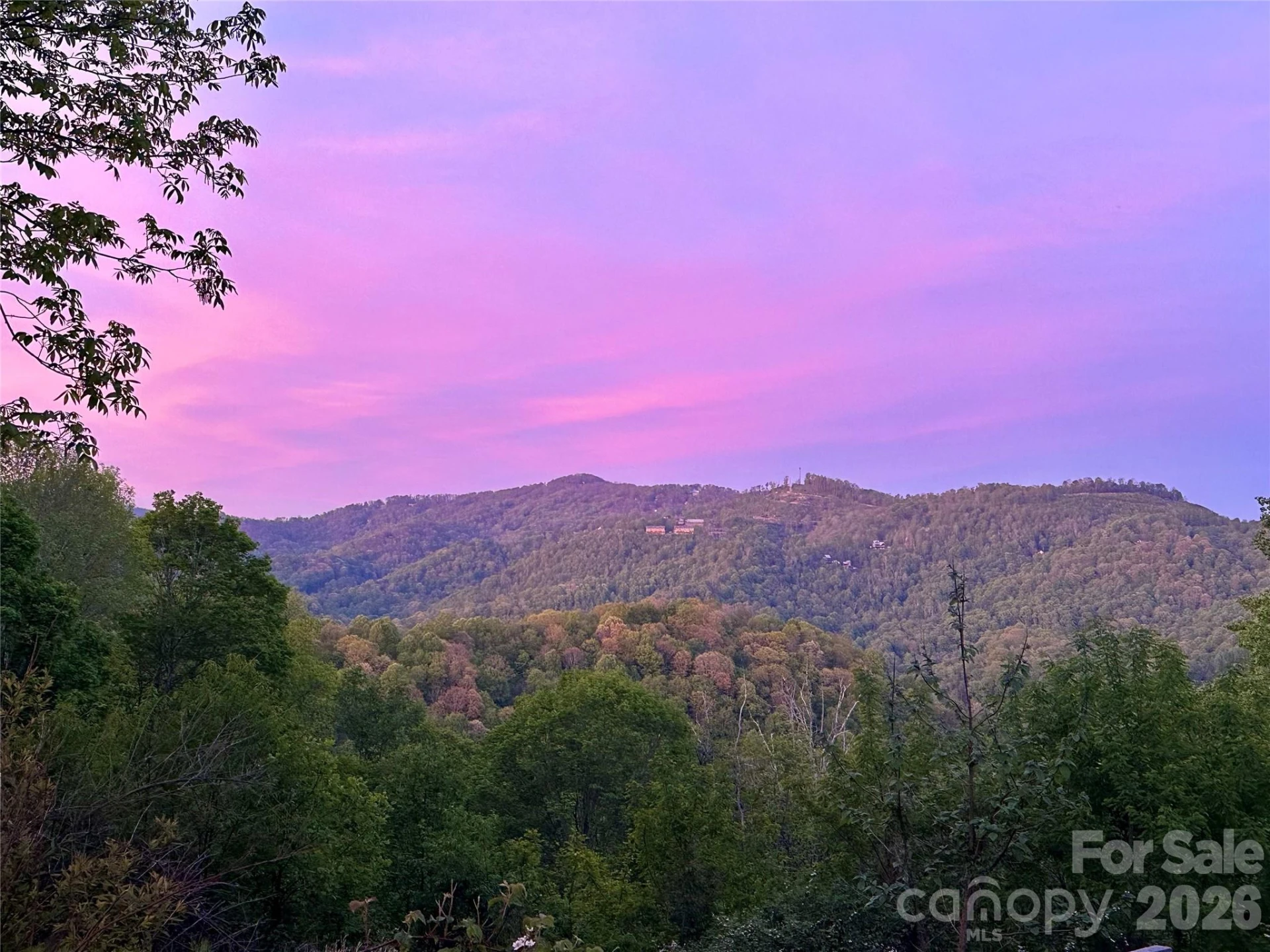 1185 Black Bear Drive - Photo 4