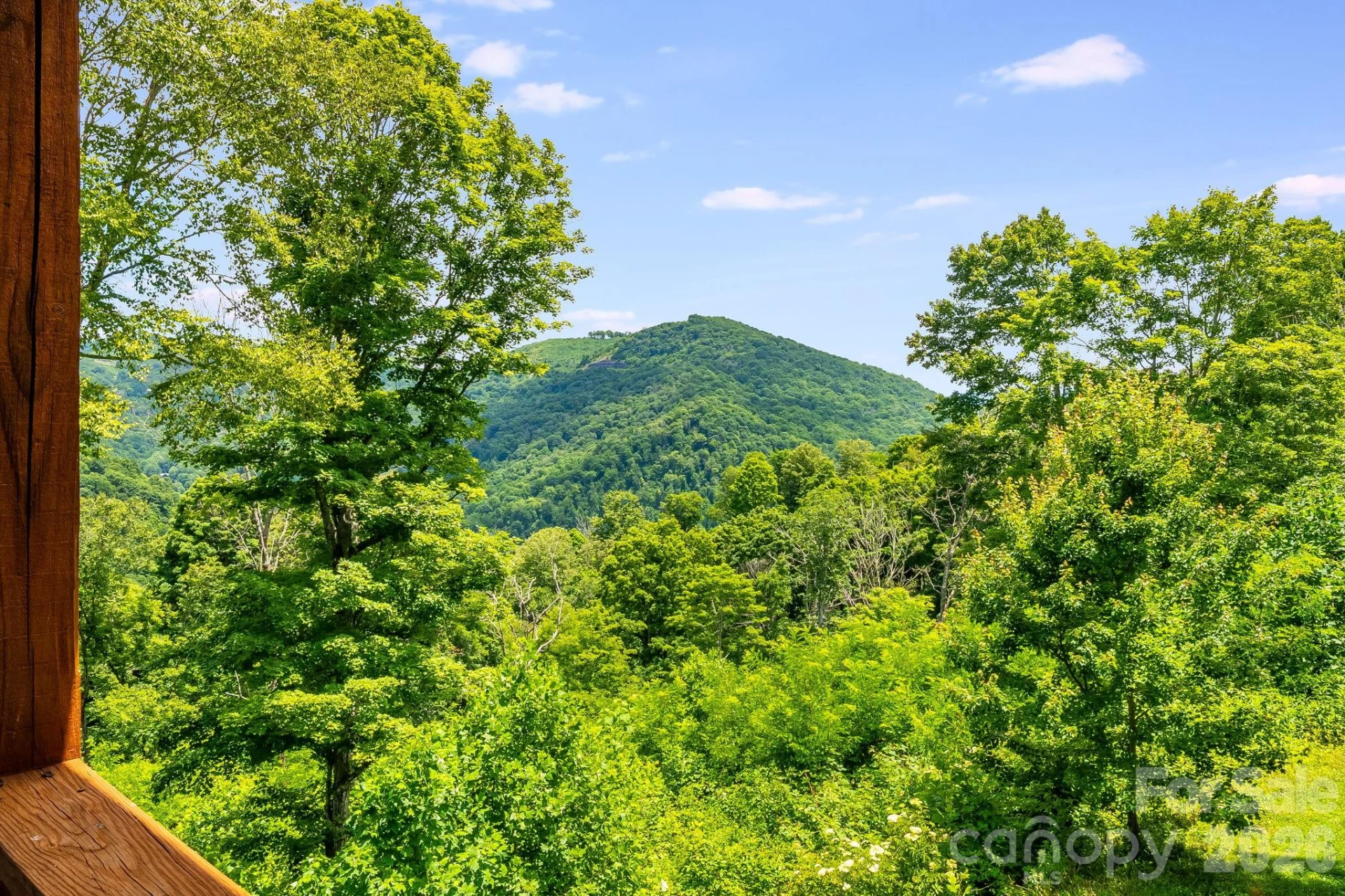 1185 Black Bear Drive - Photo 20