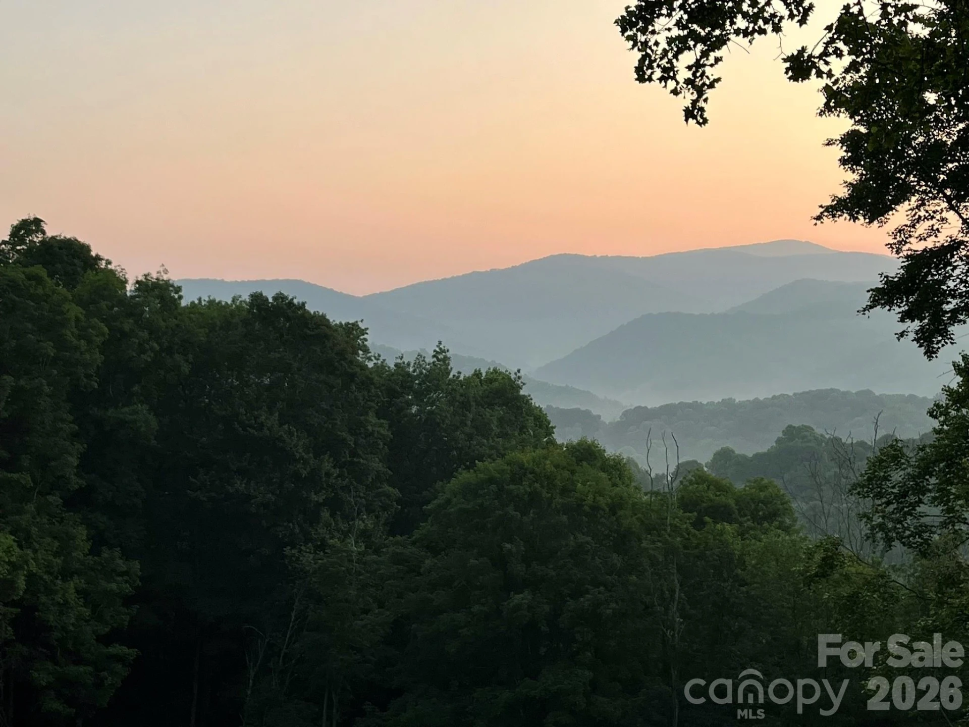 1185 Black Bear Drive - Photo 21