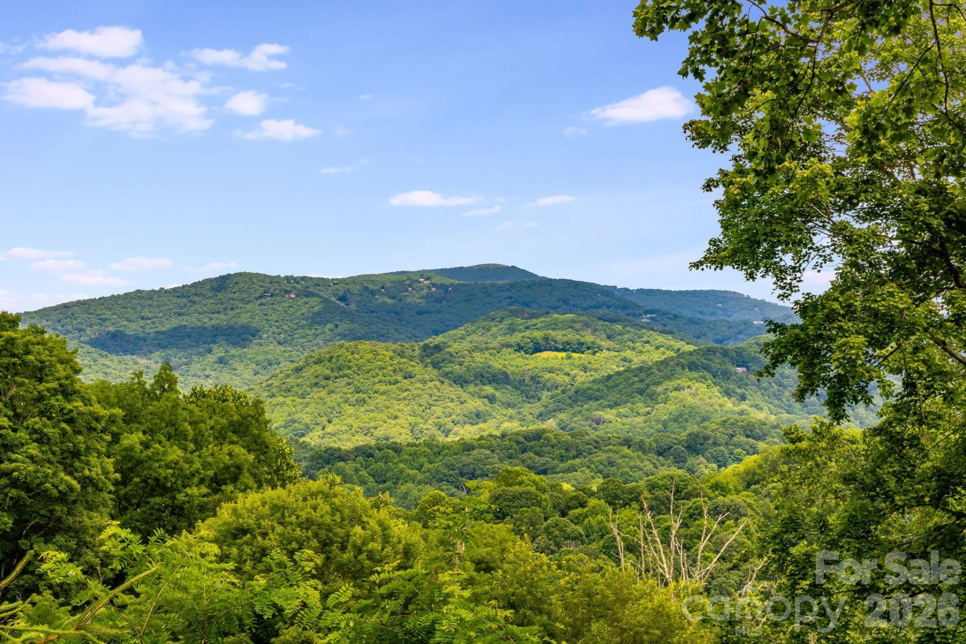 1185 Black Bear Drive - Photo 29