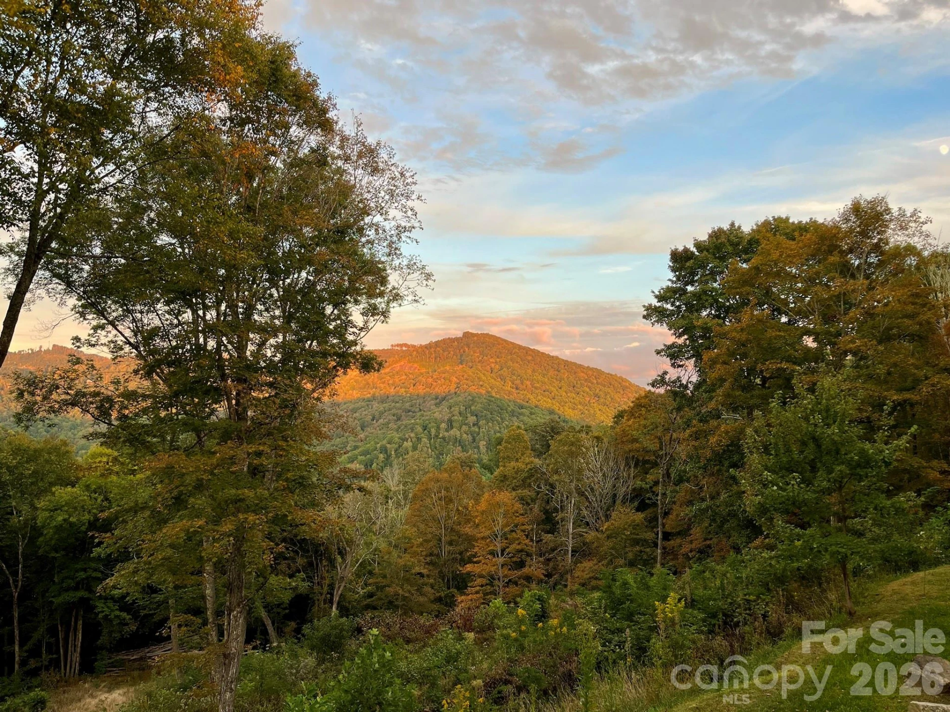 1185 Black Bear Drive - Photo 45