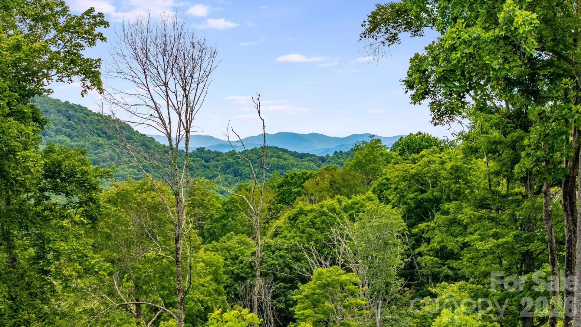 1185 Black Bear Drive - Photo 46